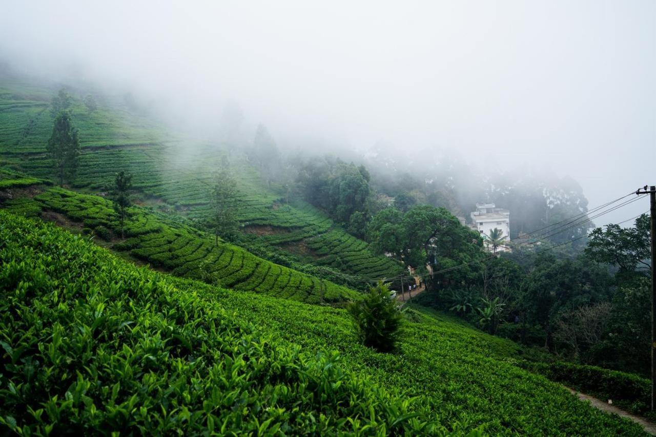 Lime Light Resort Munnar Exteriér fotografie